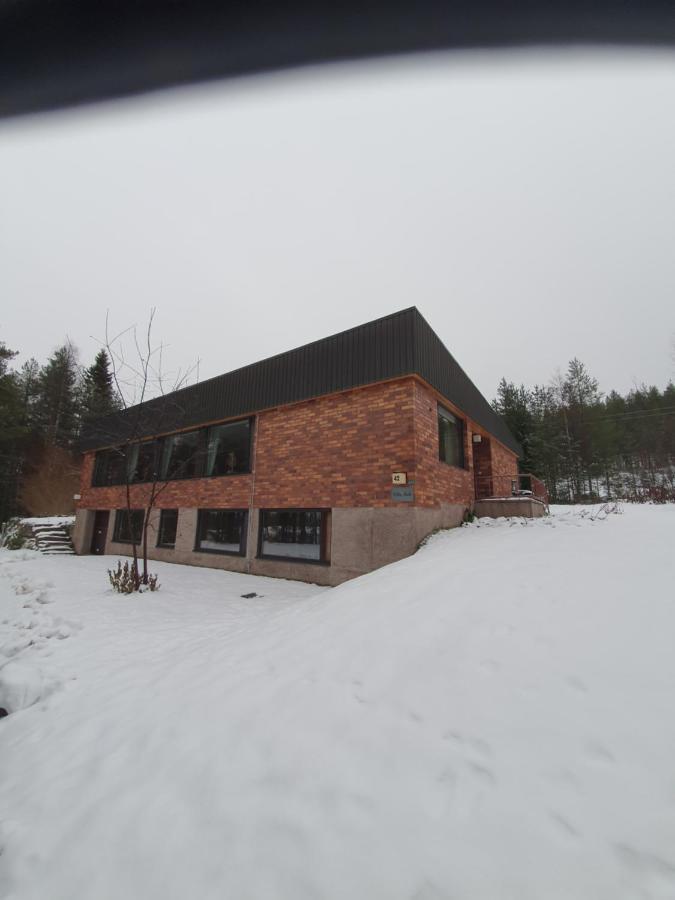 Villa Talo Рованиеми Екстериор снимка